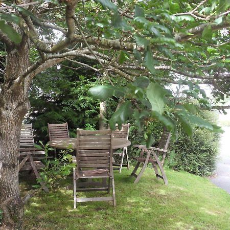 Ethan Cottage Killarney Bagian luar foto