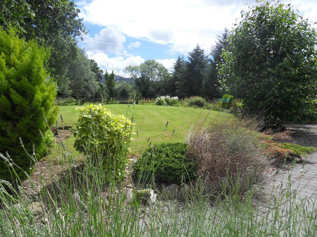 Ethan Cottage Killarney Bagian luar foto