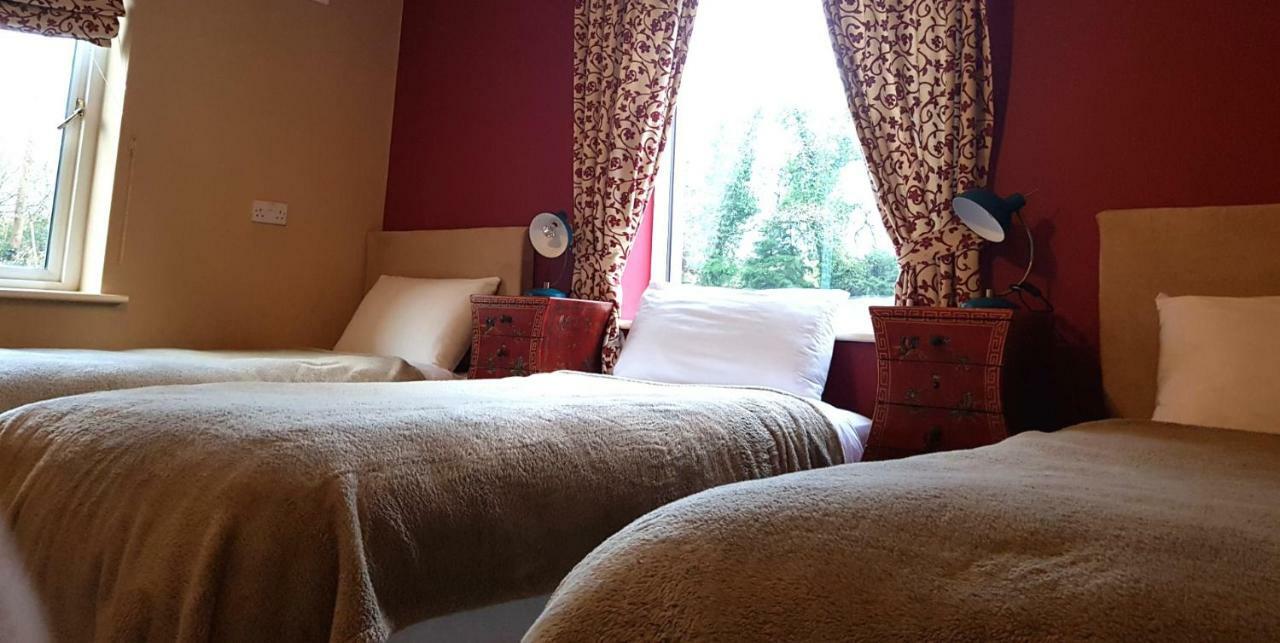Ethan Cottage Killarney Bagian luar foto