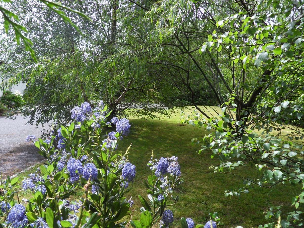 Ethan Cottage Killarney Bagian luar foto